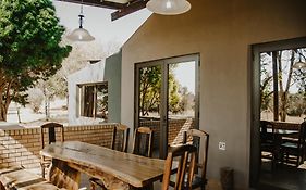 Wilgeboomsdrift Safaris